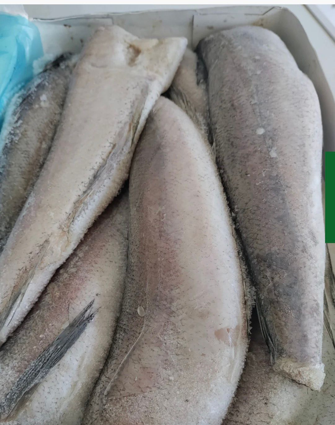 Frozen Whitening Fish