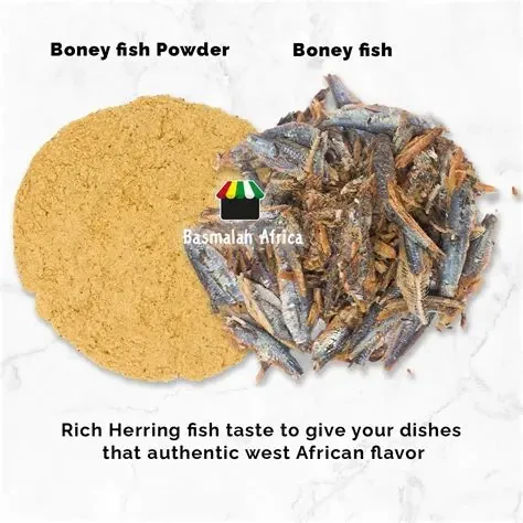 PETEL YENGUE Bony Fish 5oz